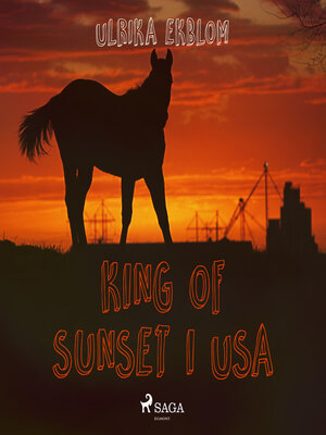 cover image of King of Sunset i USA